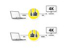 ROLINE Monitor Cable, DVI (24+1) - HDMI, M/M, black /silver, 5 m